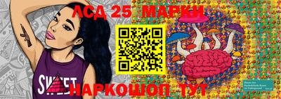 ALPHA PVP Новозыбков