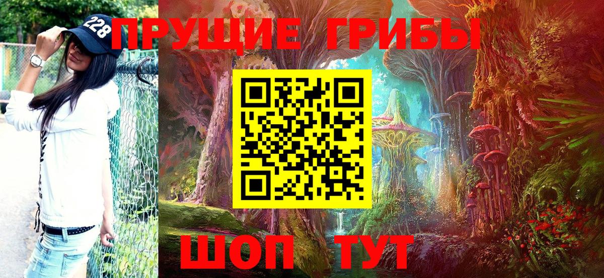 Галлюциногенные грибы Cubensis Унеча