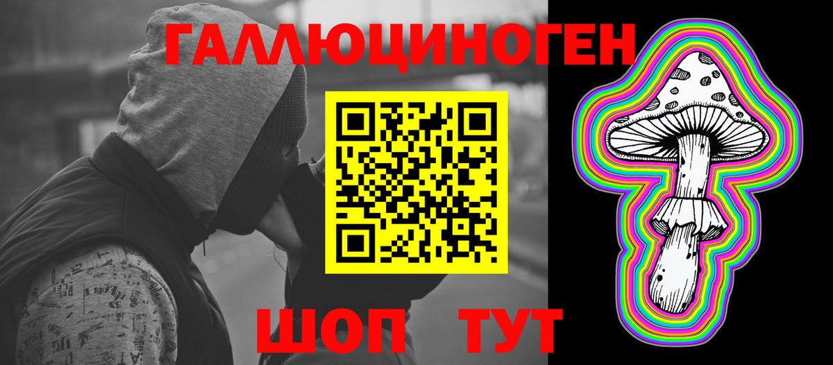 Унеча  Галлюциногенные грибы MAGIC MUSHROOMS  Псилоцибиновые грибы MAGIC MUSHROOMS  Вход с VPN 